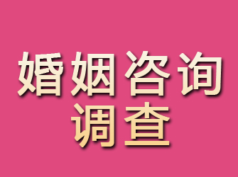 晋宁婚姻咨询调查