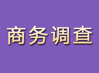 晋宁商务调查